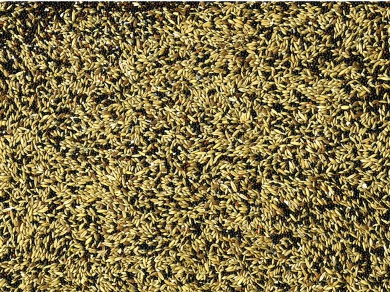 VADIGRAN CANARIAS BASICO 20 KG