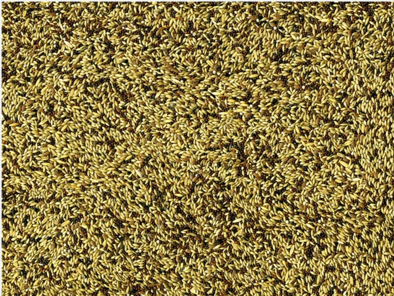 Vadigran Canarias Original 4kg