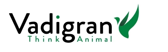 Vadigran Canarias Original 4kg