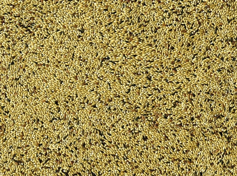 VADIGRAN CANARIOS LIGERO 20 KG