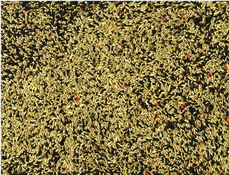 VADIGRAN CANARIOS COLOR 20 KG