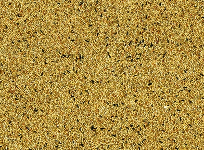Vadigran Aves Tropicales Original 20 KG