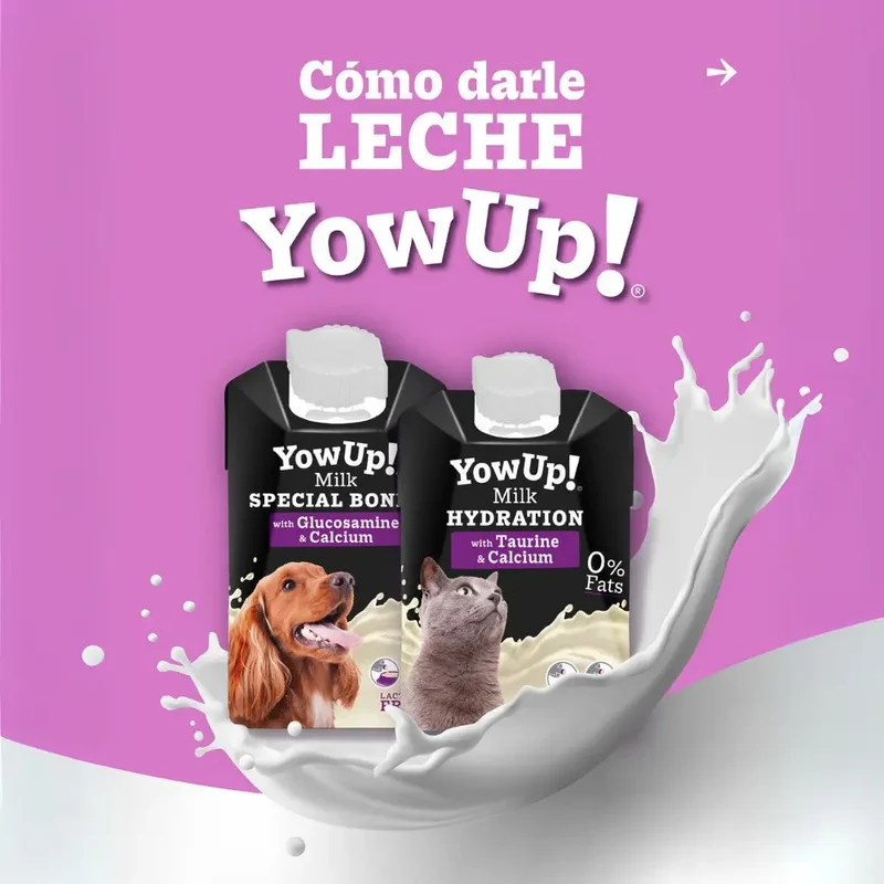 Leche para Perros 250 ml YowUp!