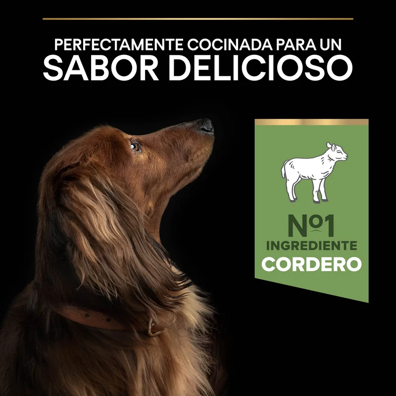Pro Plan Dog Small & Mini Adult Digest Cordero Pienso para Perros
