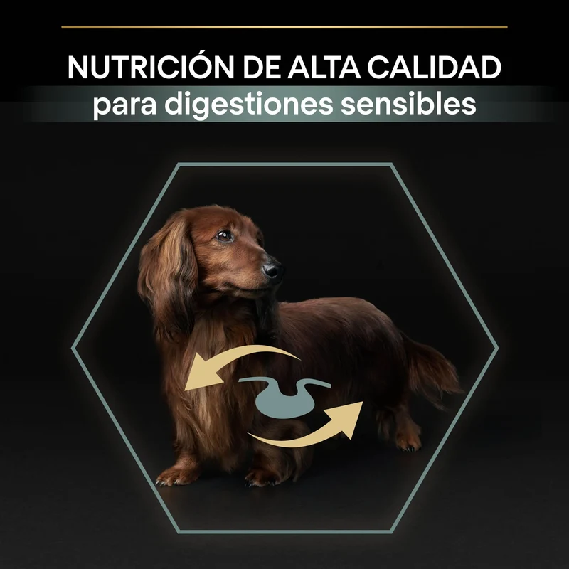 Pro Plan Dog Small & Mini Adult Digest Cordero Pienso para Perros