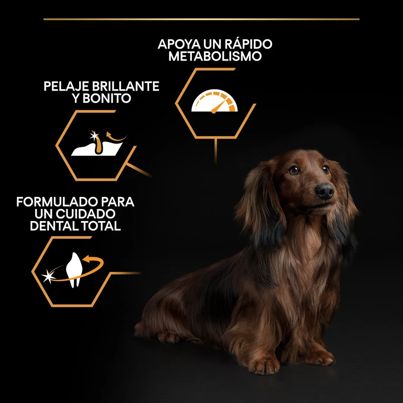 Pro Plan Dog Small & Mini Adult Pollo Pienso para Perros
