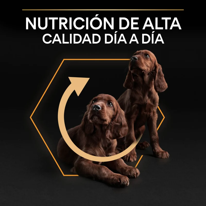Pro Plan Dog Small & Mini Adult Pollo Pienso para Perros