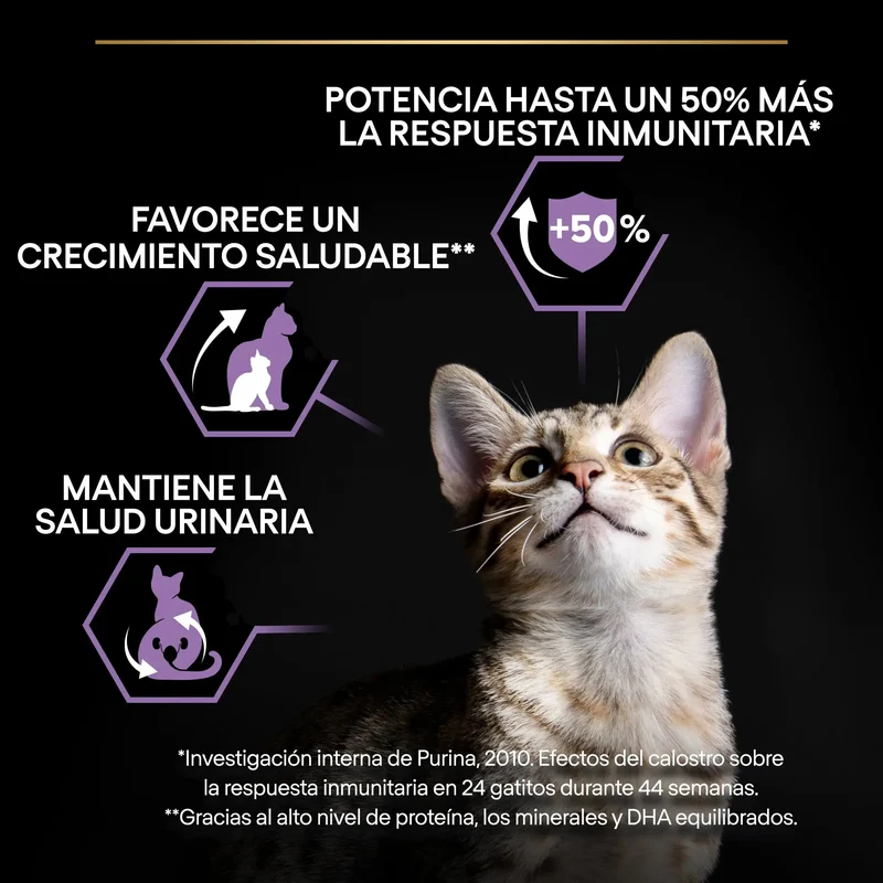 Pro Plan Cat Kitten Start Pollo Pienso para Gatitos