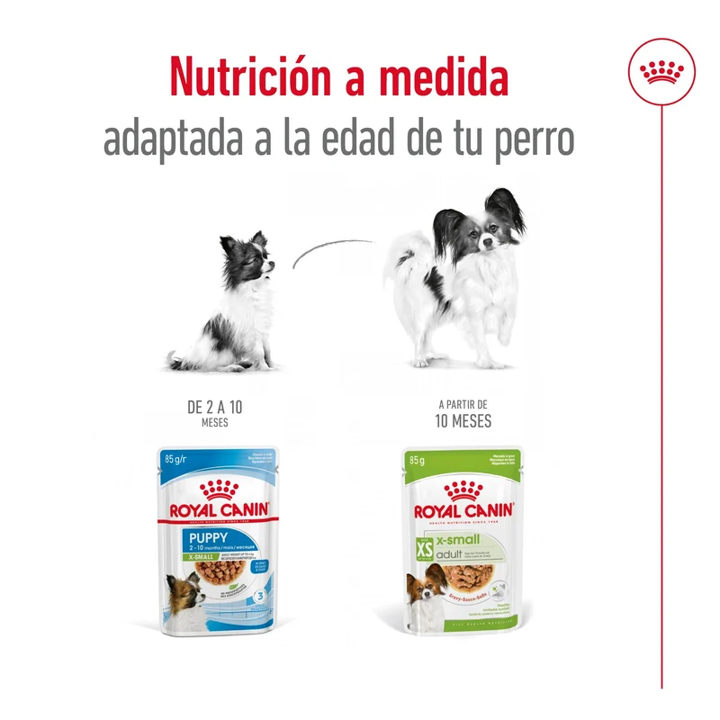 Royal Canin X-Small Adulto 85 g Comida Húmeda para Perros