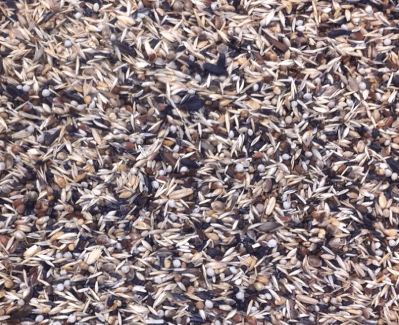 Camachuelo Blattner 4kg - Versele Laga
