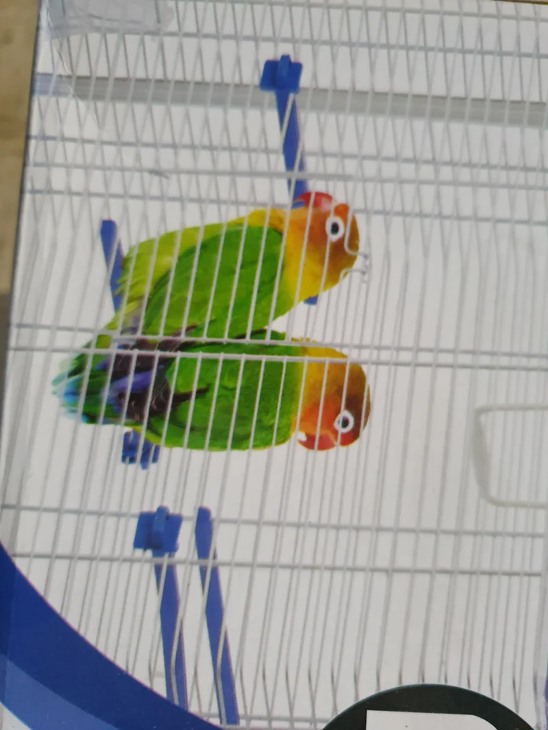 Jaula para pájaros Anita 53 x 32 x 59