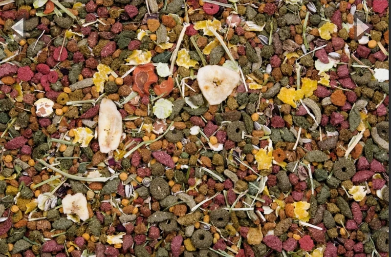 Nature Original Comida para conejos Cuni - Versele Laga