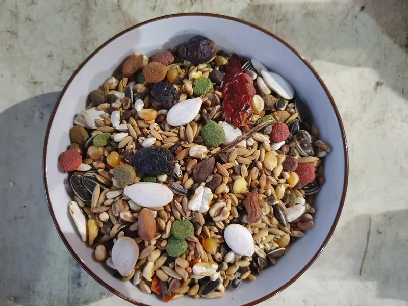Prestige Loro Parque Amazone Parrot Mix 15kg - Versele Laga