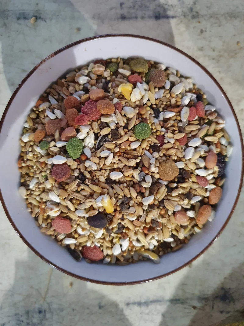 Prestige Loro Parque Mezcla De Loro Australiano 15kg - Versele Laga