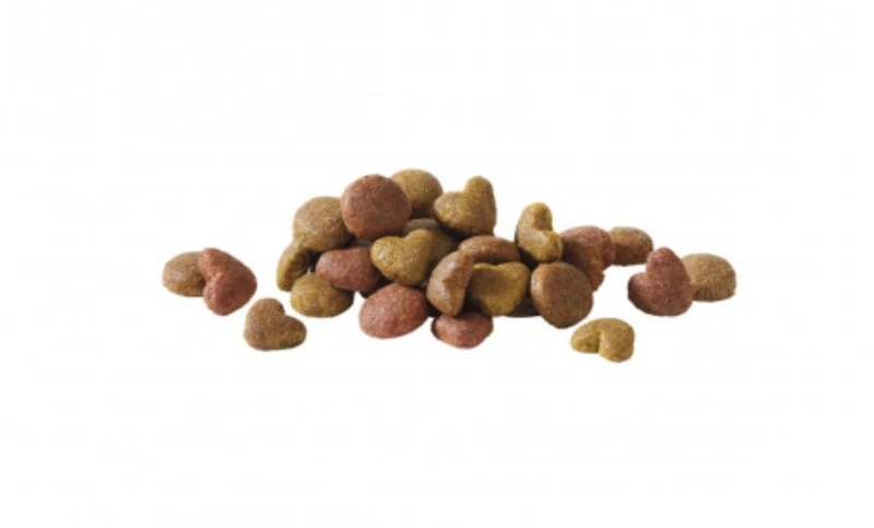 Salmón adulto Happy Life 2 x 2.5 kg - Versele Laga
