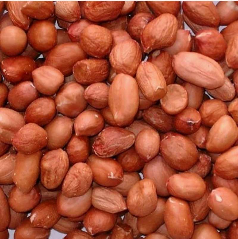 Cacahuetes/cacahuetes pelados 80/100 25kg - Versele Laga