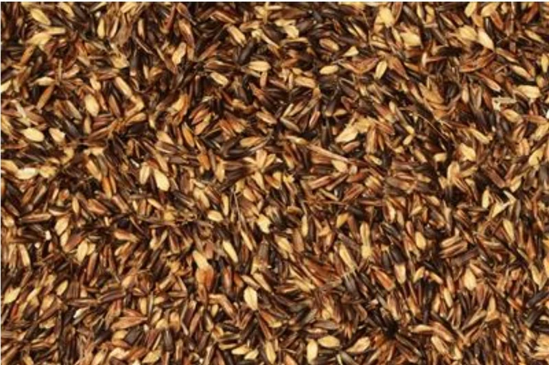 Avena Negra 25kg - Versele Laga