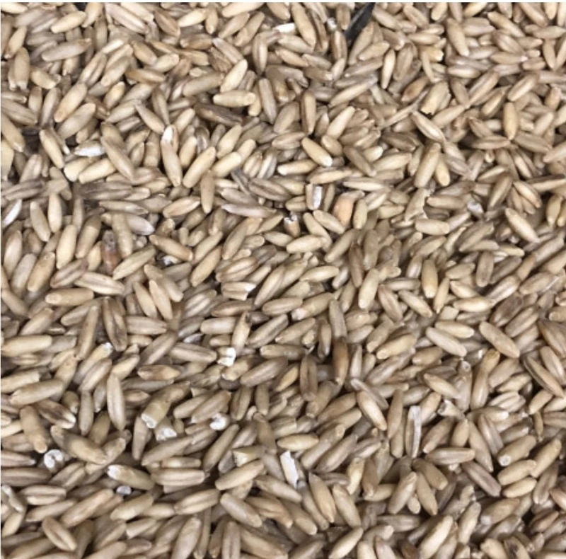 Avena Pelada 25kg - Versele Laga