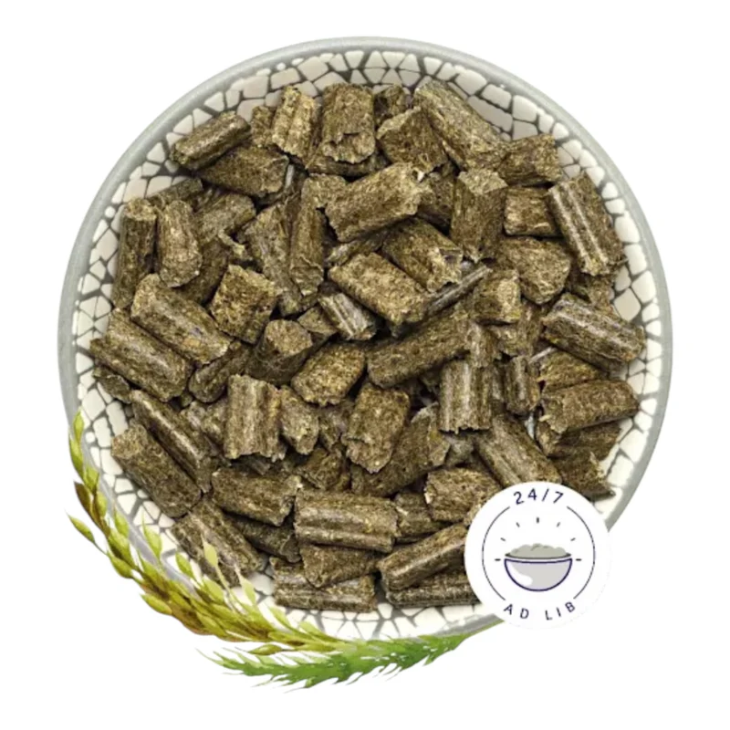 Bunny Dream Conejo Adulto — Pienso Completo Premium para Conejos