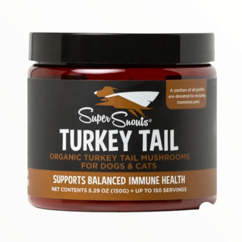 Turkey tail Hongo cola de pavo