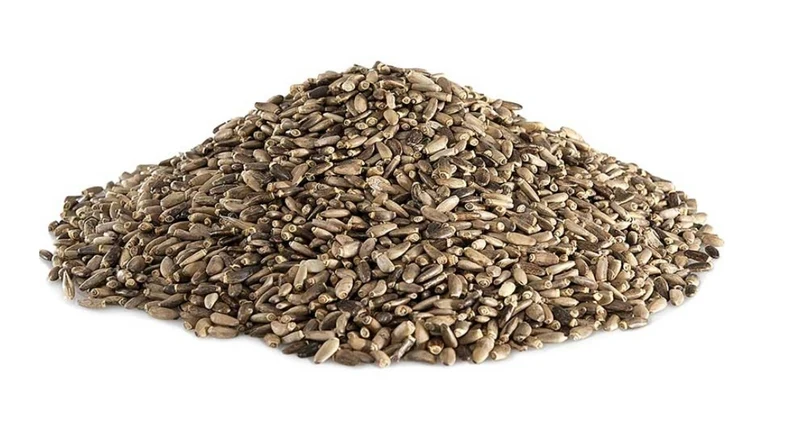 Semilla de Cardo Mariano 25kg | Duvo+