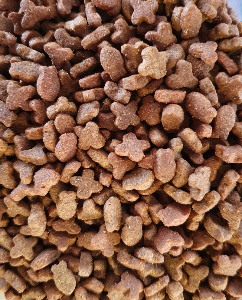 Menú Regular Gato 10kg | Duvo+