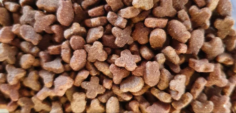 Menú Regular Gato 10kg | Duvo+