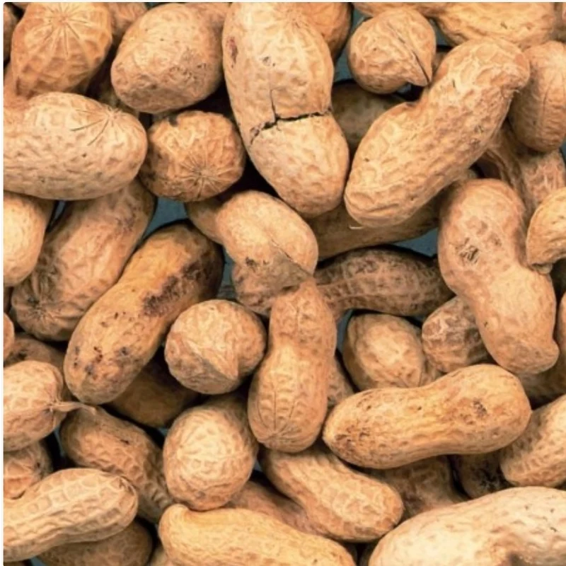 Cacahuetes sin pelar 10kg | Duvo+