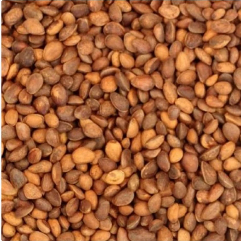 Nueces de Cedro 25kg | Duvo+