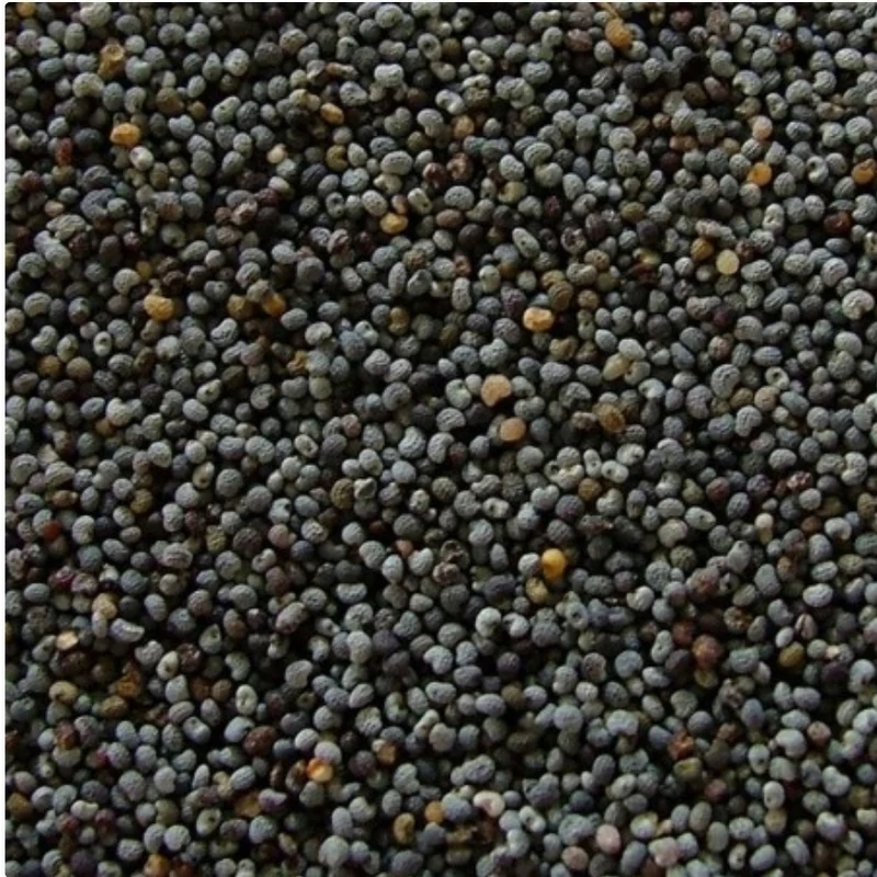 Semilla de Amapola Azul Extra 25kg | Duvo+