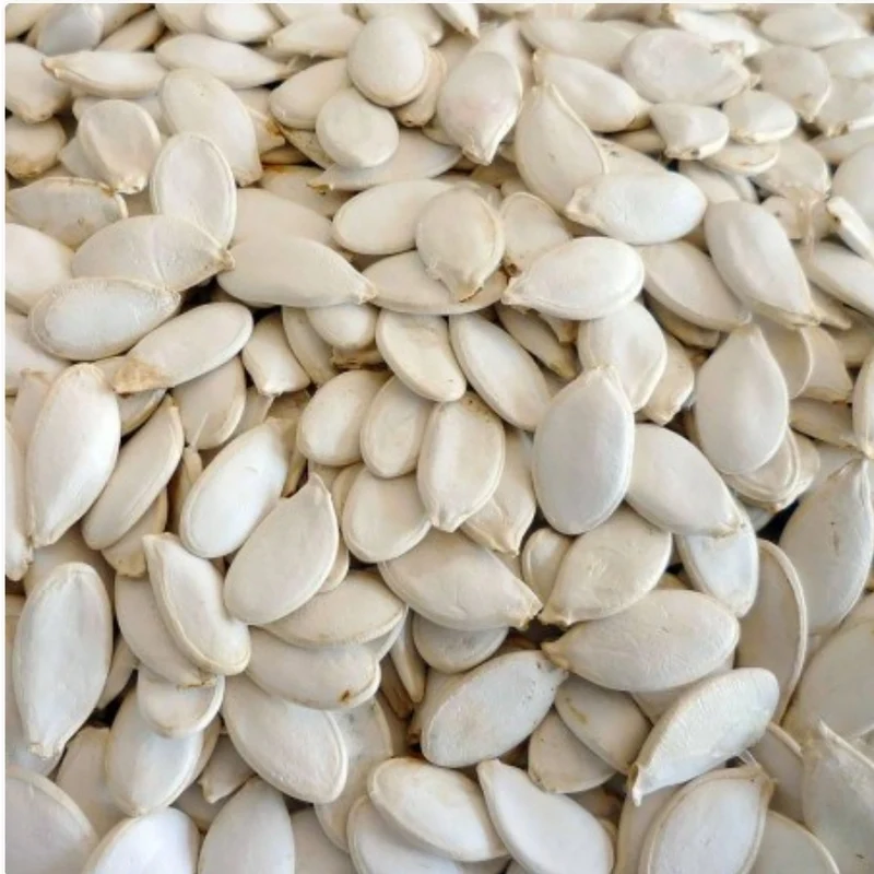 Semillas de Calabaza 25kg | Duvo+
