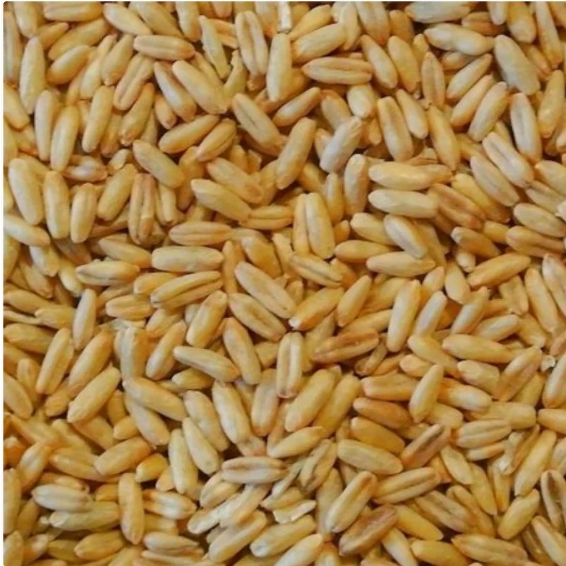 Avena Pelada 25kg | Duvo+