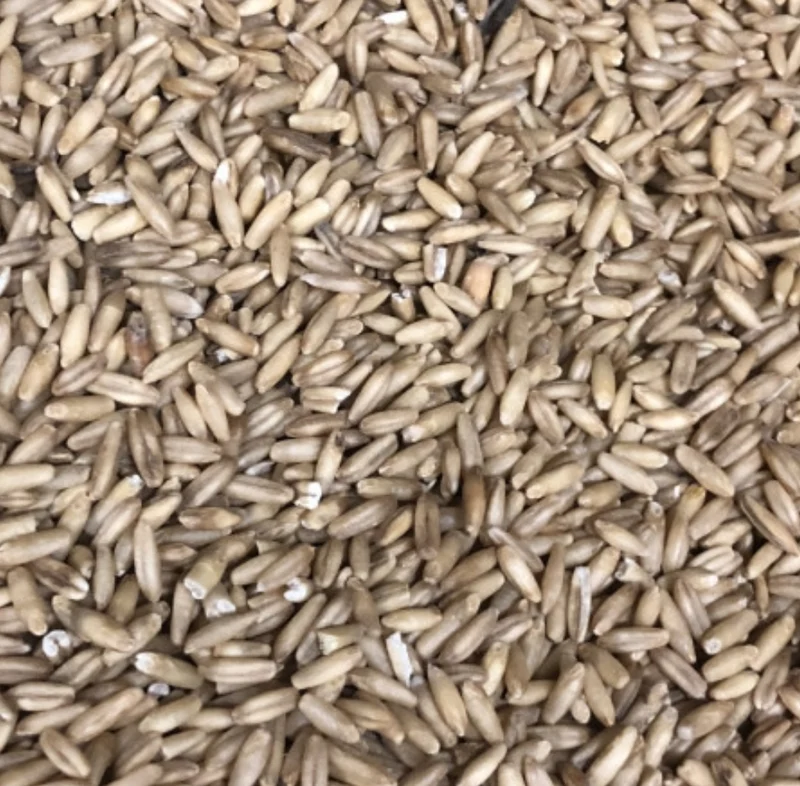 Avena Pelada 25kg | Duvo+