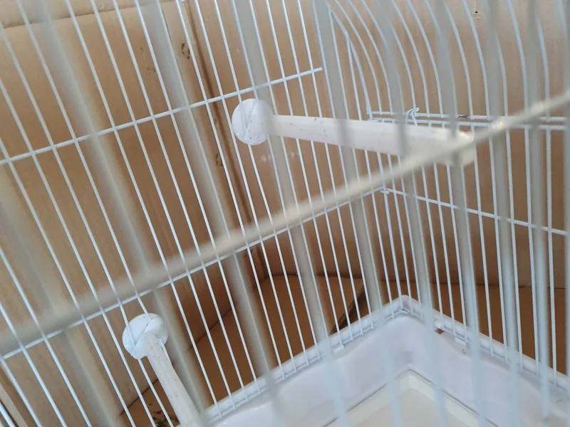 Jaula de pájaros / Jaula