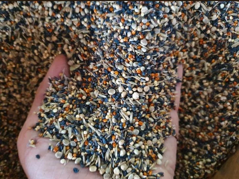 Semillas saludables 15kg Duvo+