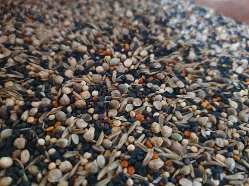 Semillas saludables 15kg Duvo+