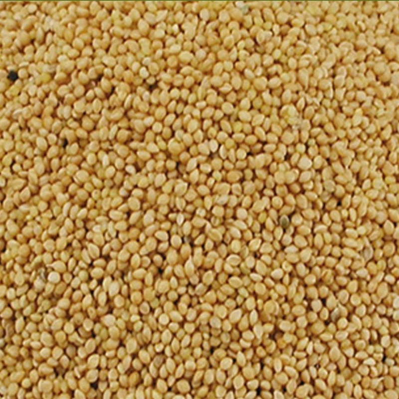 Duvo+ - Panis Amarillo 20kg