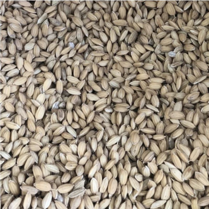 Duvo - Arroz Paddy 20kg