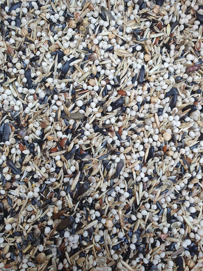 Jilgueros europeos y americanos 15 kg 219