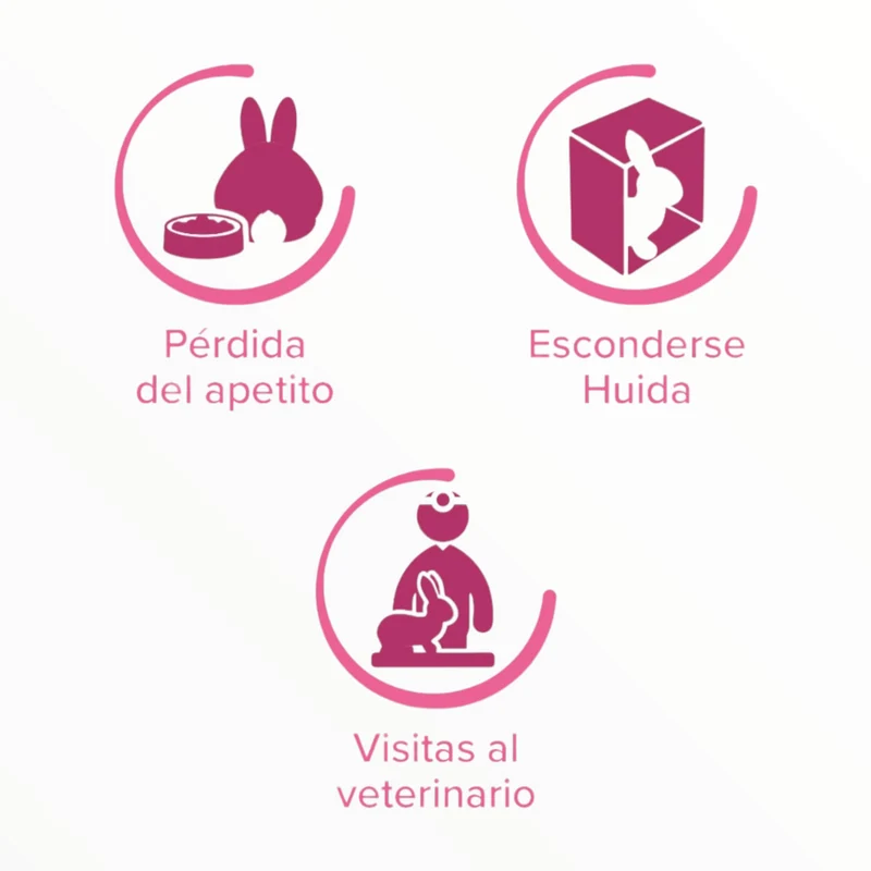 Beaphar Rabbit Comfort Spray para Conejos — Reductor de Estrés