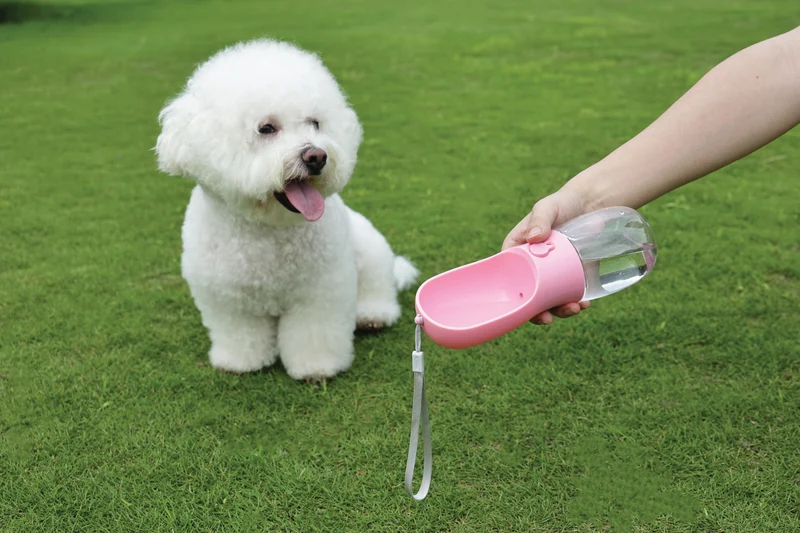 ON THE ROAD Dog water bottle 600 ml - 3 in 1 - Pink bloom