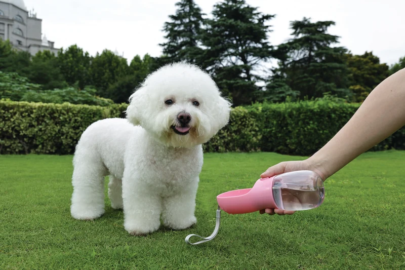 ON THE ROAD Dog water bottle 600 ml - 3 in 1 - Pink bloom