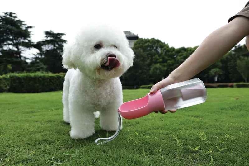 ON THE ROAD Dog water bottle 600 ml - 3 in 1 - Pink bloom