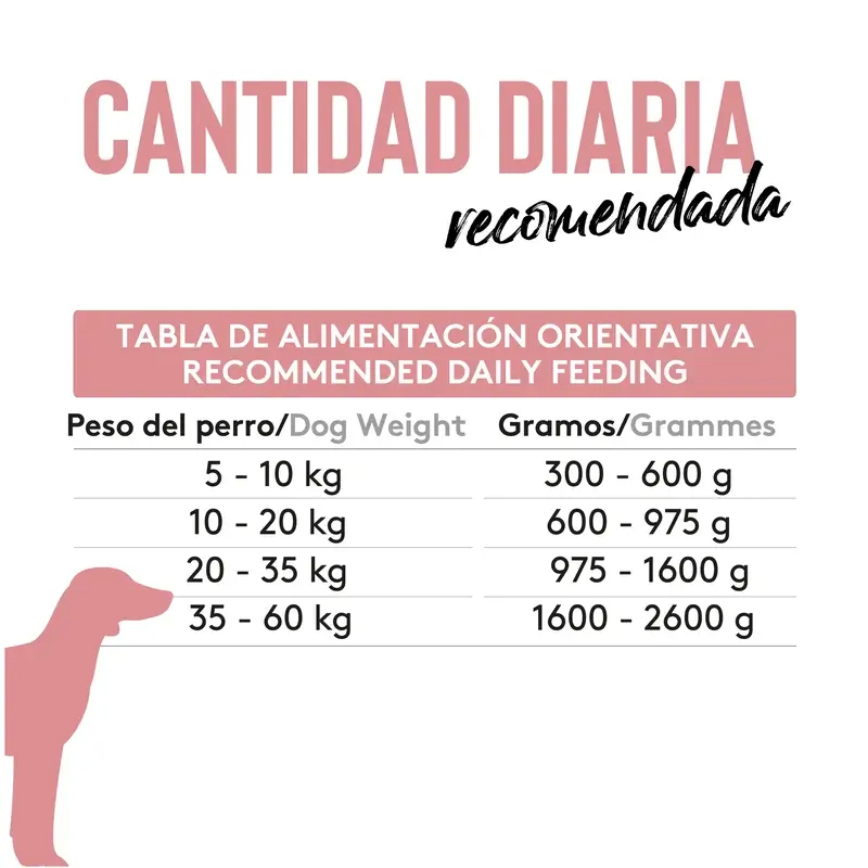 Dibaq Sense Comida Húmeda Perros Cordero, 12 x 190 gr
