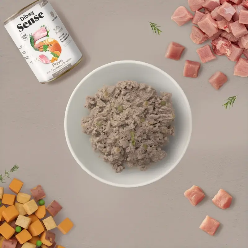 Dibaq Sense Comida Húmeda Perros Grain Free Pavo Y Calabaza, 12 x 380 gr