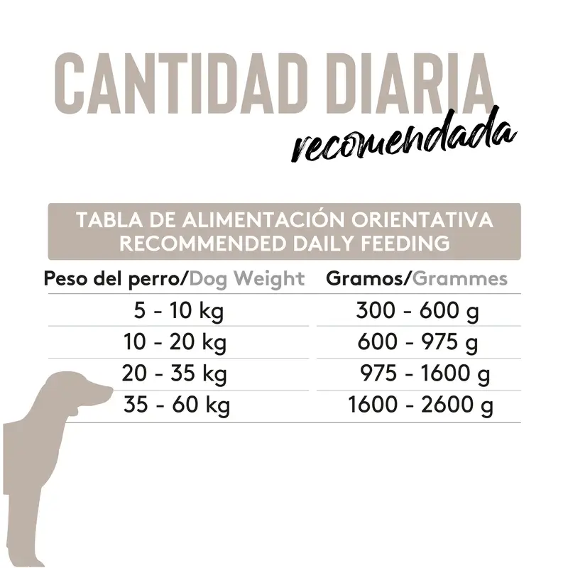 Dibaq Sense Comida Húmeda Perros Grain Free Pavo Y Calabaza, 12 x 380 gr