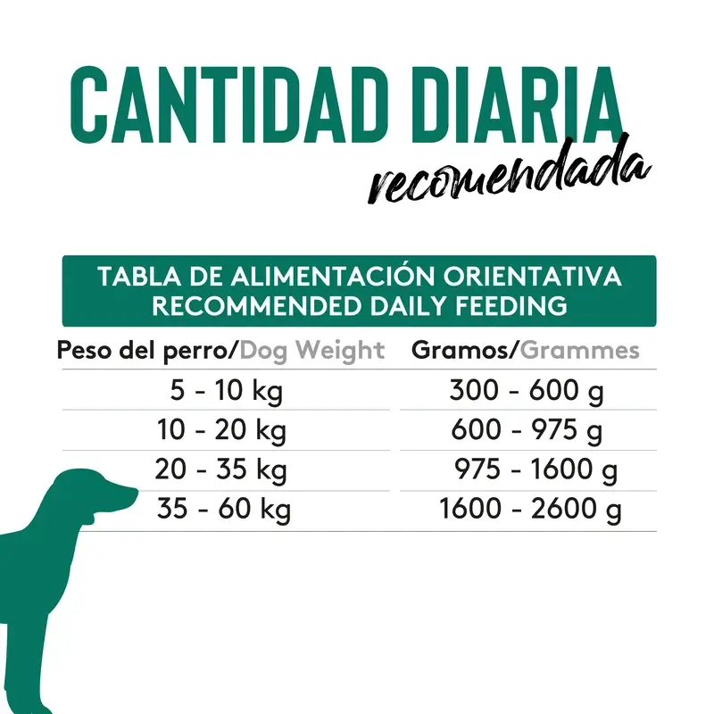 Dibaq Sense Comida Húmeda Perros Grain Free Bacalao A La Portuguesa, 12 x 380 gr