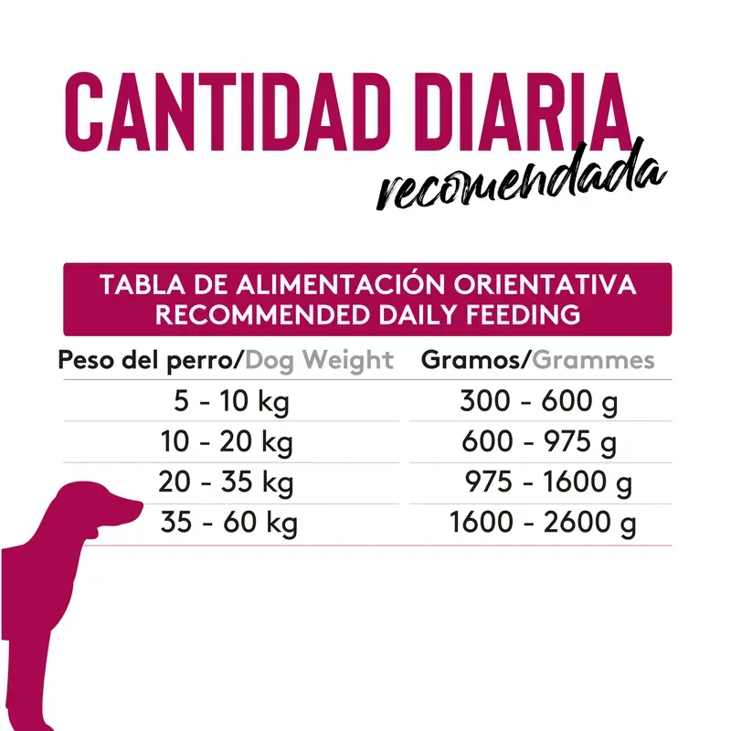 Dibaq Sense Comida Húmeda Perros Grain Free Pulpo A La Gallega, 12 x 380 gr