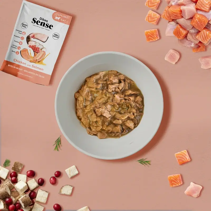 Dibaq Sense Comida Húmeda Gatos Bocaditos En Salsa Pollo Con Salmón, 12 x 100 gr