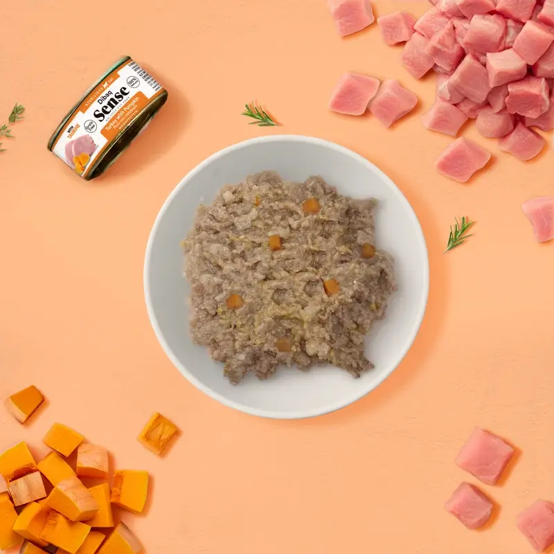 Dibaq Sense Comida Húmeda Gatos Esterilizado Pavo Con Calabaza, 12 x 70 gr